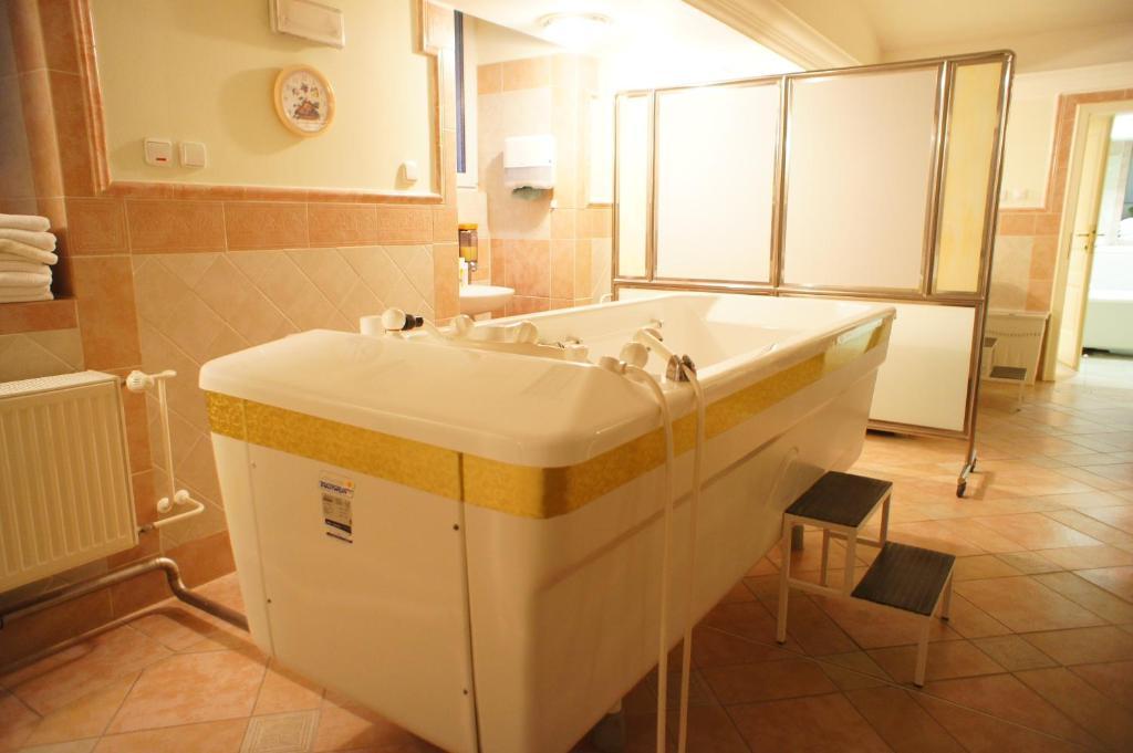 Hotel Mignon Karlovy Vary Habitación foto
